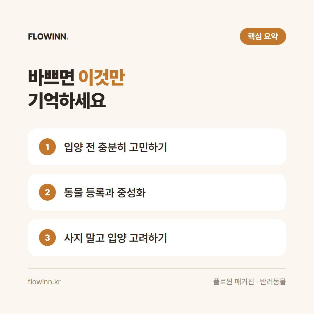 유기견 문제, 왜 계속 늘어날까? 우리가 할 수 있는 현실적인 방법 핵심 요약