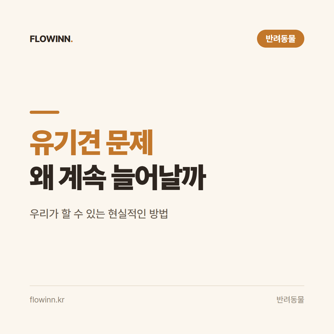 유기견 문제, 왜 계속 늘어날까? 우리가 할 수 있는 현실적인 방법 요약 카드