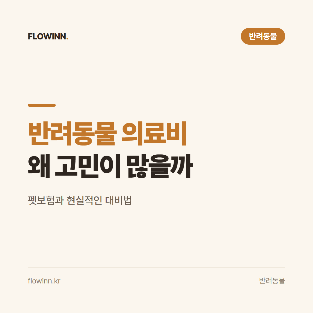 반려동물 보험과 의료비 부담, 왜 아직도 고민이 많을까? 요약 카드