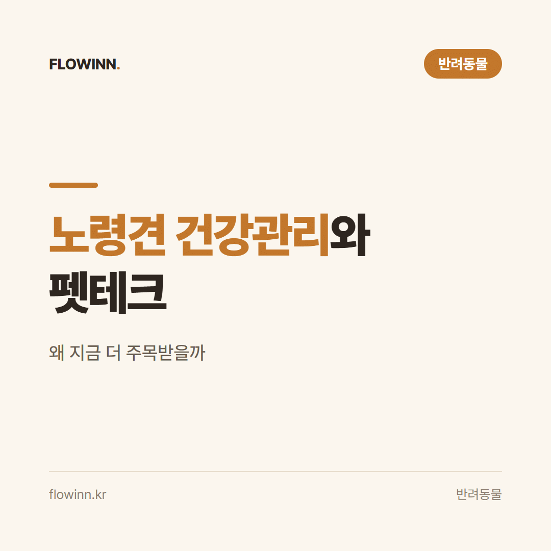 노령견 건강관리와 펫테크, 왜 지금 더 주목받을까 요약 카드